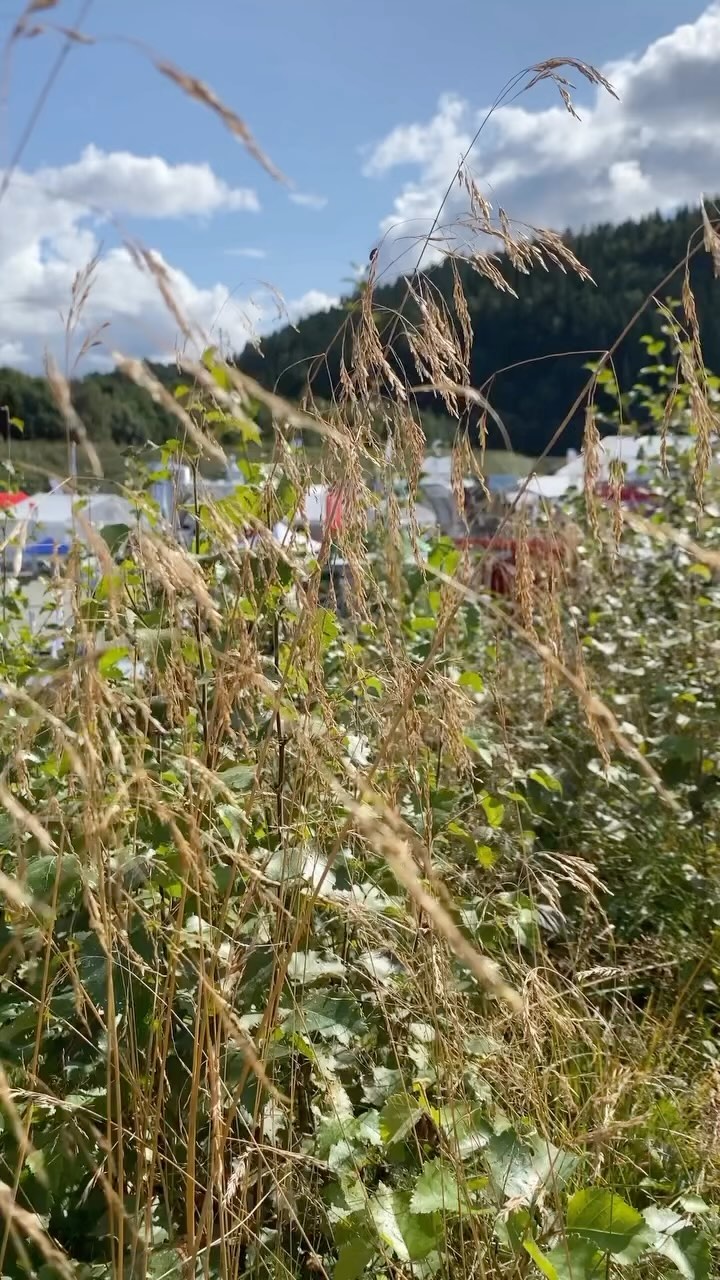 Det er fredag dere!!☀️☀️☀️ Kom på Agrisjå i helga👆
