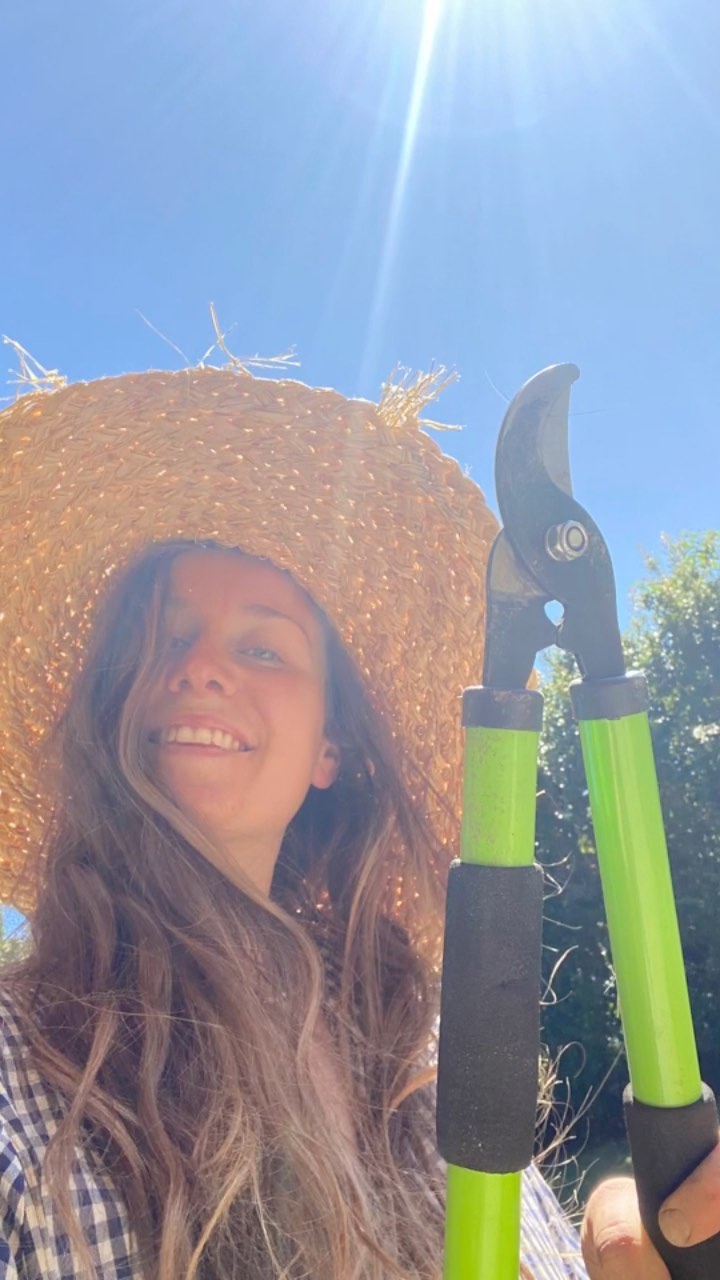 A morning of mine in between computer work đđŞ´
Yummy green drinks, gut love and garden love.