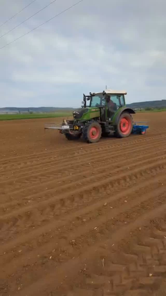 Spargel säen 🚜
Schon jetzt werden die Spargelsamen für nächstes Jahr gesät, um im Frühjahr 2026 neue Spargelpflanzen zu ernten. 🌱
Eine gute Bodenbearbeitung und regelmäßige Pflege ist besonders wichtig.
Denn Qualität ist unsere Stärke!💪🏼
Sterk Landwirtschaft
#landwirtschaft#spargelpflanzen#regional#landliebe#qualitätistunserestärke💪🏽