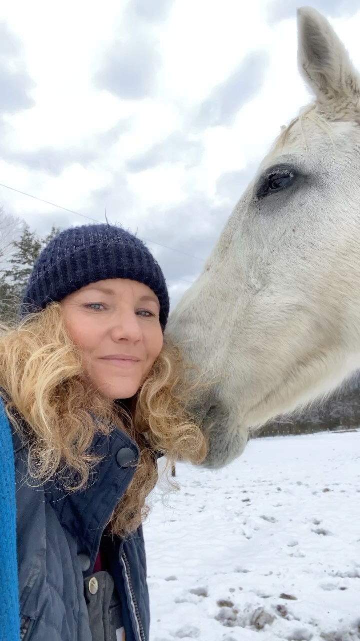 I will never stop loving my job. Getting up in the morning doesn’t feel hard… ever. These girls are just a few of the blessings God has placed in my charge, and it’s an honor to get to spend time with them. 💕 #blazerfarm #thegirls #horselove #babyitscoldoutside