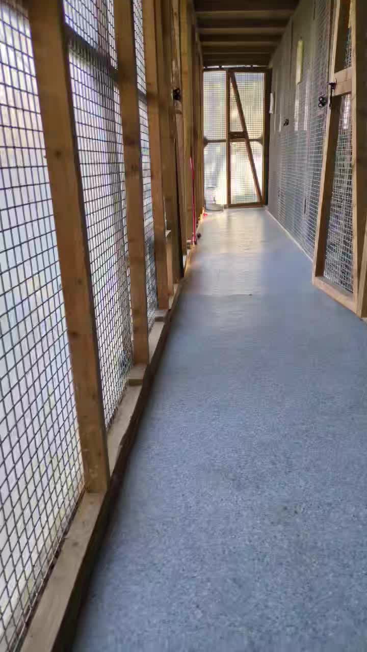 Marshall having some fun this morning, for people of a certain age do you remember The Herbs because he reminds us of Parsley the lion !!!