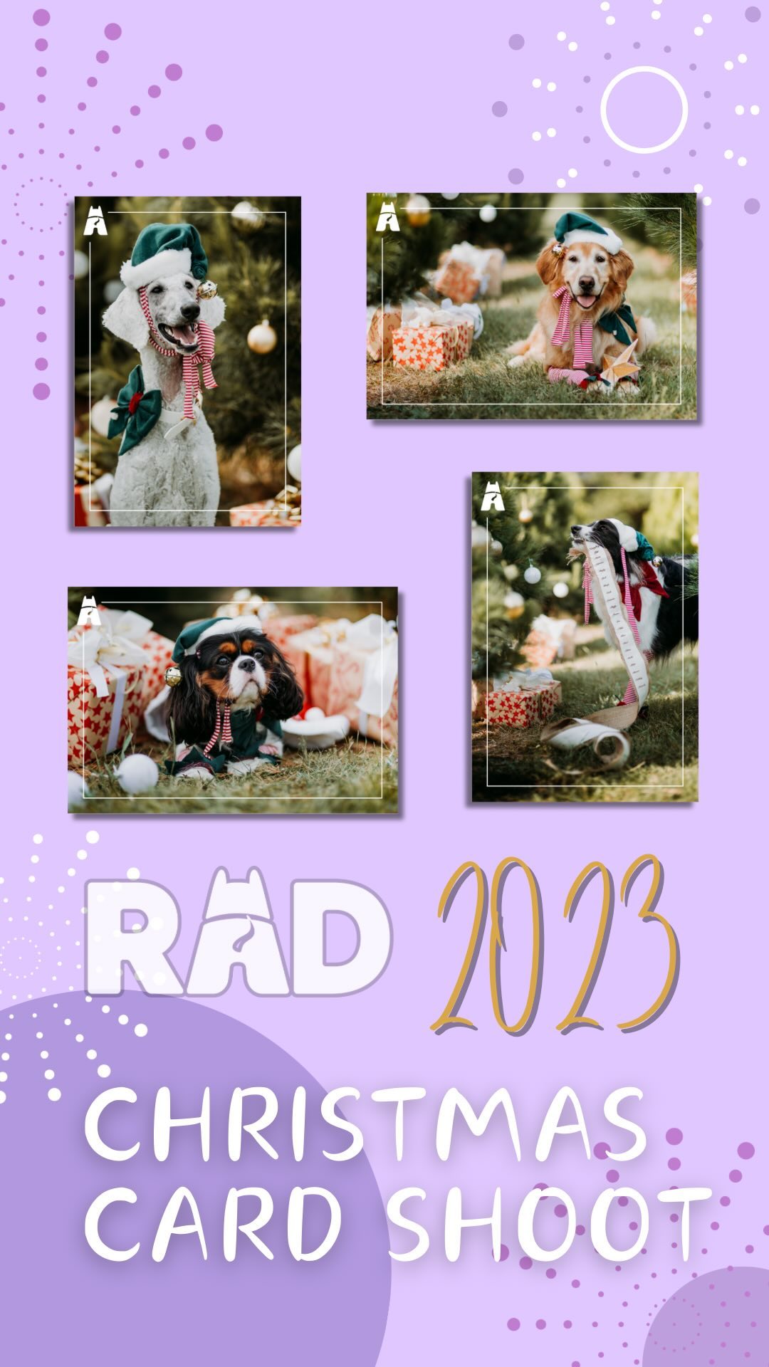 🌟 Unleash the holiday spirit with RAD’s “Merry Mischief” Christmas cards! 🐶🎅 Each card features our furry friends in festive fun, spreading joy and supporting our mission to create an inclusive society for all assistance dog teams. 🌈✨
Snag your cards now and share the love! 🎁 ✨link in bio✨
#MerryMischiefCards #SpreadJoy #SupportInclusion