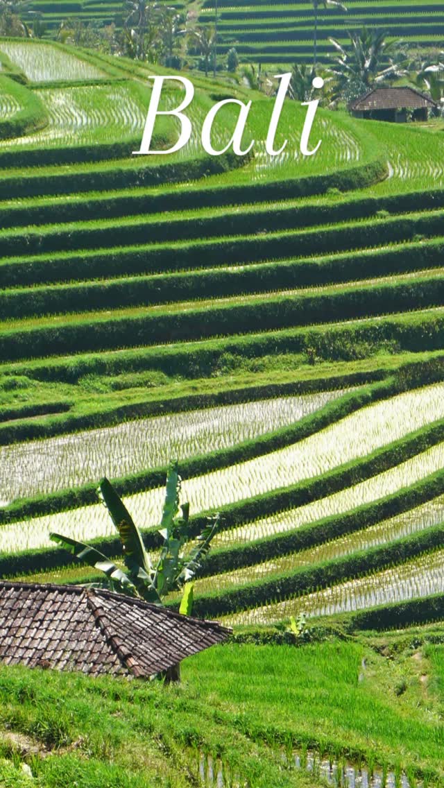 𝐄𝐭 𝐬𝐢 𝐭𝐮 𝐩𝐚𝐫𝐭𝐚𝐢𝐬 𝐚̀ 𝐁𝐚𝐥𝐢 ?
Imagine-toi en train de regarder le soleil se lever depuis le sommet du Mont Batur, après une rando magique 🥾🌄
Puis, un petit shoot d’adrénaline en rafting sur la rivière Telaga, entouré·e de jungle luxuriante 🌊🌿
Et pourquoi pas un cours de cuisine balinaise pour découvrir les secrets des saveurs locales ? 🍛👨🍳
On s’occupe de tout, il ne te reste plus qu’à profiter 💼✈️
🎥 Regarde le réel pour avoir un avant-goût de l’aventure…
Et si ça t’inspire, passe nous voir ou écris-nous. Le voyage de tes rêves commence ici 🌍
#Romontours #Bali2025 #MontBatur #RaftingTelaga #CuisineBalinaise #Romont #Fribourg #VoyageSurMesure #Évasion #TuParsQuand #romontregion #romont #fribourgregion