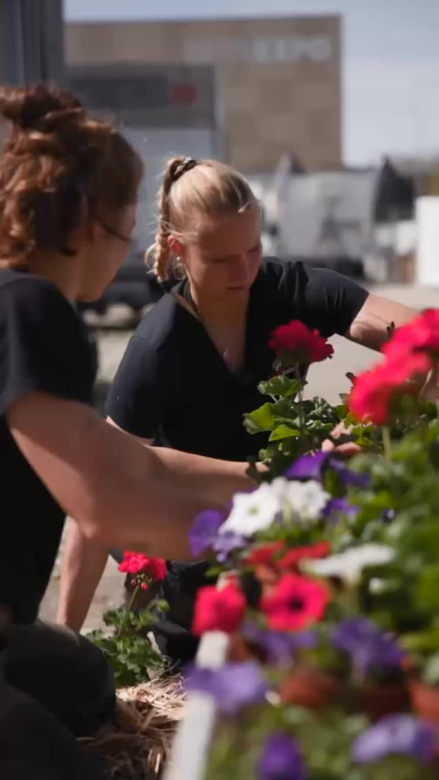 Frisch am Start für die BEA: Unsere Bepflanzung mit wunderschönen Geranien. Freuen uns auf eine blühende Messe! 🌸🌿 #bea2025