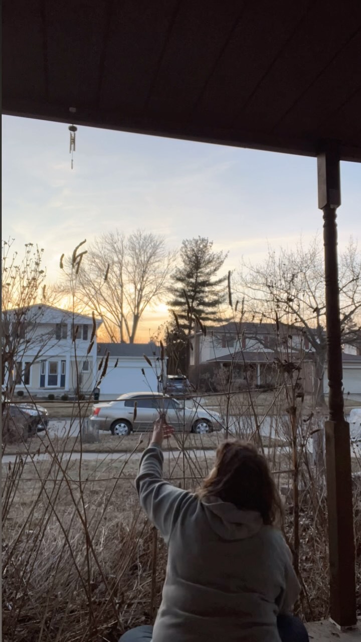 Finally, a beautiful day after what felt like forever! ☀️✨ Perfect evening weather for a garden project. I’m repurposing last year’s plant stalks into a natural trellis—one of my favorite ways to use agastache stalks! Bonus: the bees can still use them for nesting holes all year long. ♻️
#SustainableGardening #NativePlantMagic #ReuseNature #NatureAndBlooms