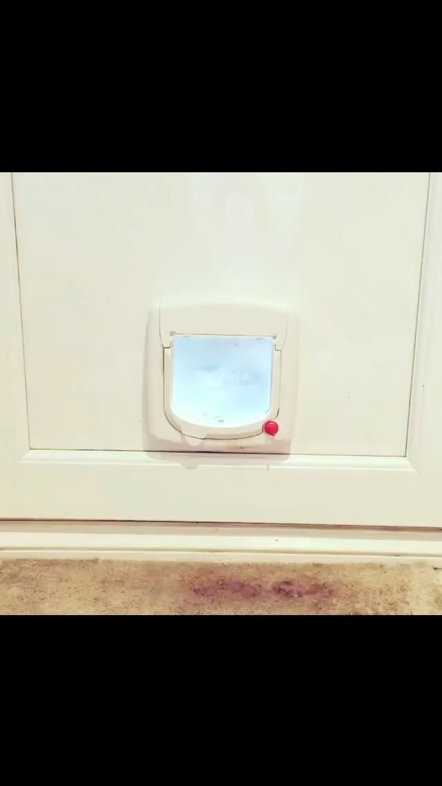 cat flap installation
Call us on: 07754540000
#cat #catflaps #catflap #catflapinstallation #installation #london #dogsofinstagram #dog #doglover #doglife #dogs #dogflap #londonlife #londoncity #londondiaries #northlonson #sunset #petdoor #petxare #petcare #dogcare #catcare #emergency