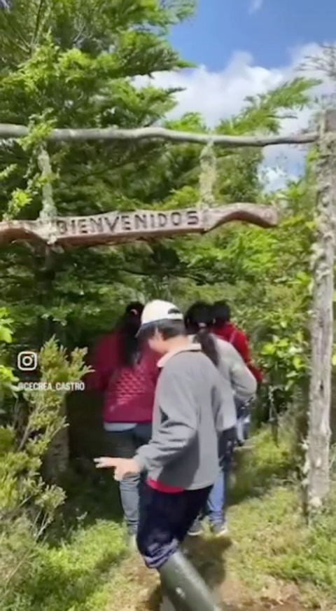 Uno de los deseos de los niños de la Escuela Rural de Huite en Chonchi, Isla de Chiloé, era conocer las Turberas de Aucar y gracias a nuestro programa Recupera y Transforma pudimos ayudar a cumplirlo.
Hace unos días, compartimos con los alumnos, la directora y los apoderados una experiencia pedagógica muy diferente y enriquecedora.
“Mapas de Agua” es un taller desarrollado por un grupo de personas que a través de la ciencia y el arte hace una inmersión en el mundo de las turberas. La actividad permitió a niños y adultos observar musgos y vegetación a través del microscopio, escuchar cuentos interactivos y terminar el día recorriendo los senderos de las Turberas de Aucar junto a Segundo, su guardador.
Fue un gran día y una maravillosa vivencia que esperamos volver a repetir para expandir el conocimiento y la protección de estos ecosistemas!
Gracias @escuela.huite @cecrea_castro @gasparalvarezr, @verocalder y @lafamiliapezteatro ❤️