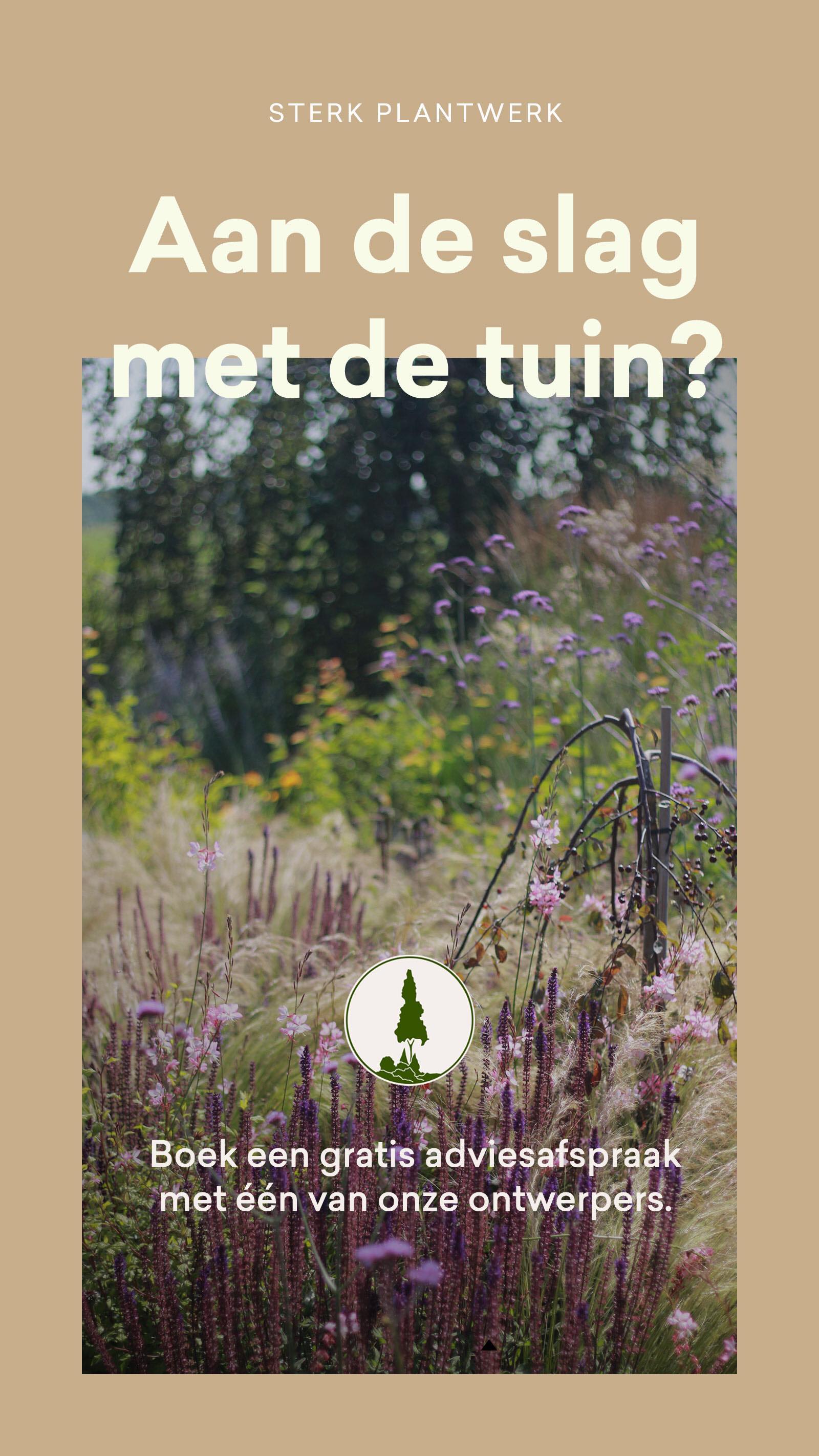 De tuin nog fijner en mooier maken? Boek een vrijblijvende adviesafspraak met een van onze tuinontwerpers.
Goed om te weten: onze focus ligt op een groene tuin, die jaarrond voor een mooi beeld zorgt en aansluit bij jouw leefstijl. We maken slimme plantcombinaties waarmee je kwesties zoals wateroverlast tackelt, bodemverschraling tegengaat en veel nuttig (bodem)leven naar de tuin trekt. Wintergroen, onderhoudsarm, schaduw, zon, eetbaar, bont, inheems, pastel: laat het ons weten! Dit alles, gestoeld op twee generaties ontwerp, vak- en hovenierservaring en natuurlijk heel veel plantenkennis!
#beplantingsplan #adviesafspraak #tuinplan #tuinidee #groenetuin #slimmetuin #vakmanschap #salvia #stipa #malus #gipsophila #hemerocallis #gaura #verbena #balkontuin #terras #tuininspiratie