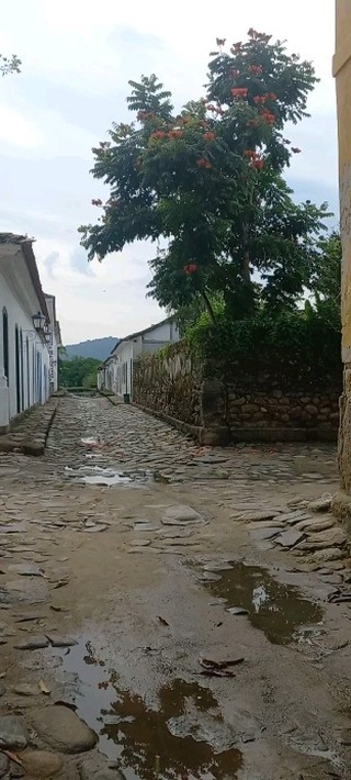 🎉 Paraty, 357 anos de encanto! 🎂🌿
Hoje, celebramos o aniversário dessa cidade mágica que mistura história, cultura e natureza em um abraço acolhedor. 🏞️
🏛️ Cultura e História: Paraty, com suas ruas de calçamento de pedras irregulares, é um museu a céu aberto. As casas coloniais, os símbolos maçônicos e a arquitetura rica nos contam histórias de séculos passados. 🏰
🌊 Povos Tradicionais: Aqui, encontramos a essência dos povos tradicionais, suas crenças, festas e saberes. Os caiçaras, quilombolas e indígenas são parte viva dessa terra, preservando tradições ancestrais. 🌱
🌴 Natureza Exuberante: Paraty é abraçada pelo mar e pelas montanhas. Suas praias, ilhas e cachoeiras são como joias naturais. Mergulhe nas águas cristalinas, respire o ar puro da Mata Atlântica e sinta a energia dessa biodiversidade única. 🌊🌳
Que Paraty continue a encantar gerações, preservando sua essência e inspirando todos nós a cuidar do nosso planeta. 🌎❤️
#Paraty357 #AniversárioDeParaty #Cultura #História #Natureza #Unesco #aventura #mamangua