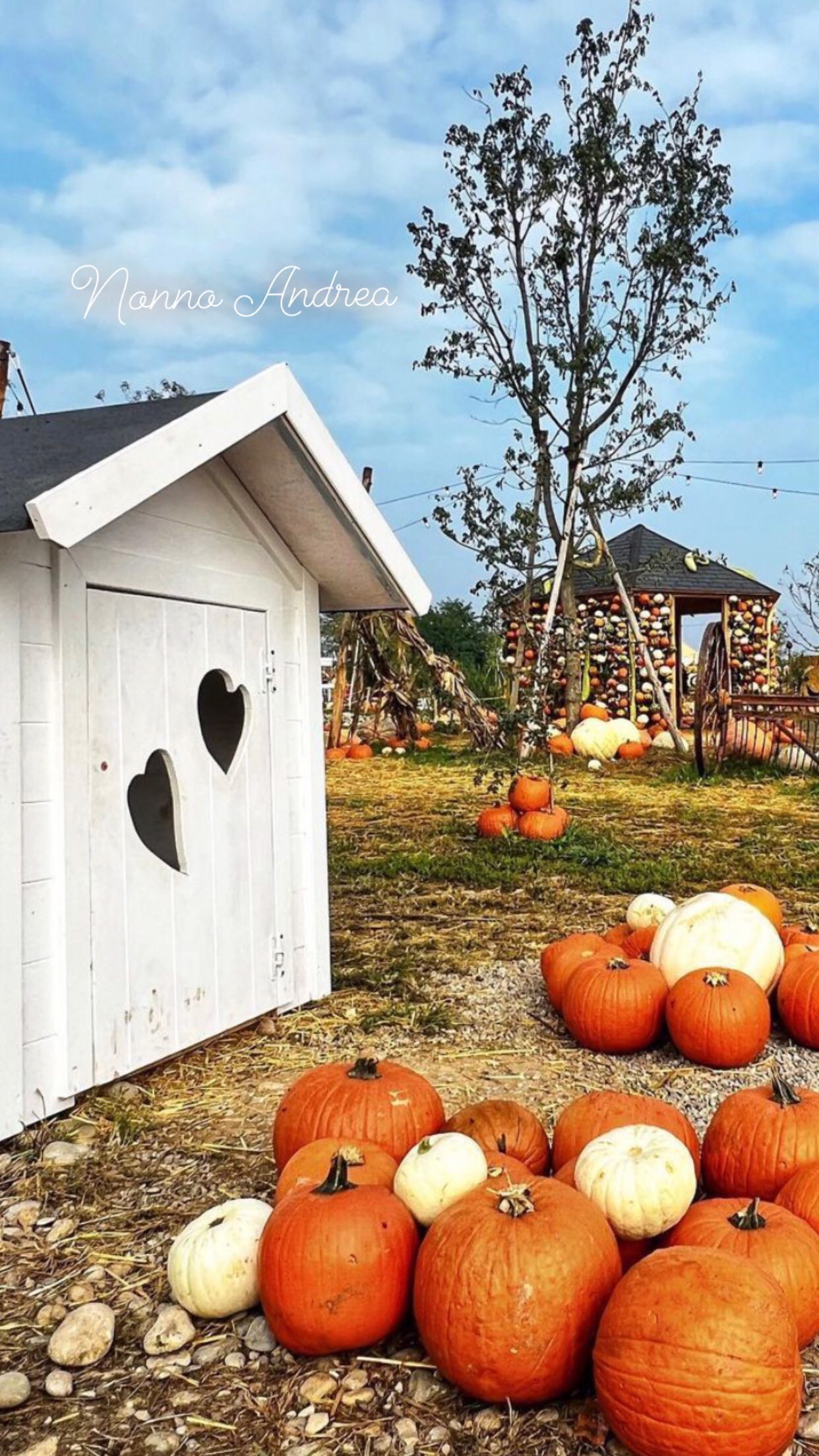 Perdonate le riprese amatoriali… ma il tutto riassume bene il nostro mood nella bellissima giornata da @nonnoandrea_ ❤️
.
.
@bigamb @chadhdg