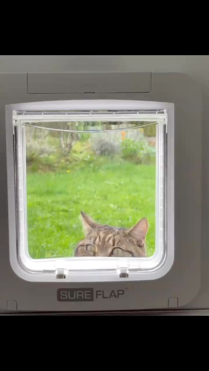 Microchip cat flap installation
Call us on: 07754540000
#cat #catflaps #catflap #catflapinstallation #installation #london #dogsofinstagram #dog #doglover #doglife #dogs #dogflap #londonlife #londoncity #londondiaries #northlonson #sunset #petdoor #petxare #petcare #dogcare #catcare #emergency