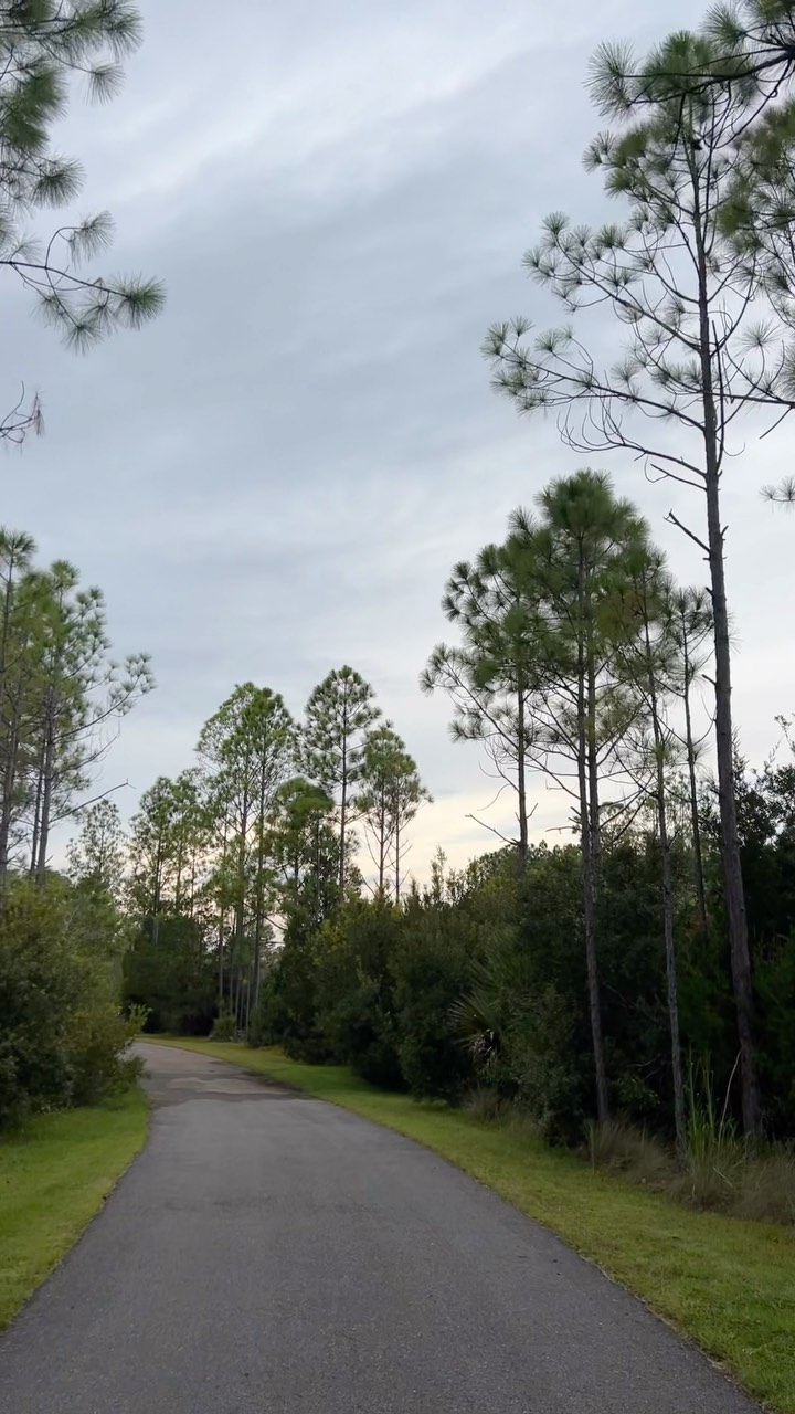 Nature walks with the littles!
Many times getting outside to fresh air and sunshine can make a big difference ☀️
#motherhood#outdoors#nature#walks#naturewalks#parenthood#toddlerhood#florida#yougotthis