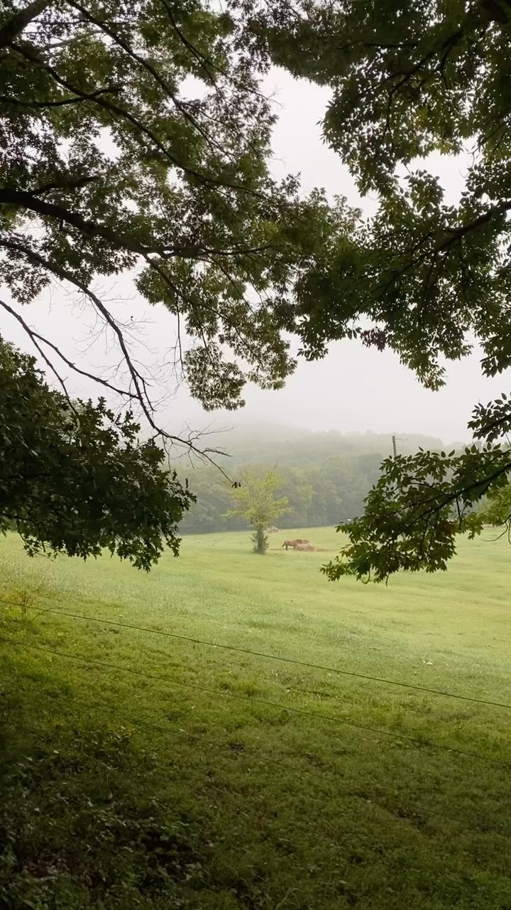 Take time to breathe today. A slow stroll in a beautiful space does wonders for the soul. ❤️ #blazerfarm #justbreathe