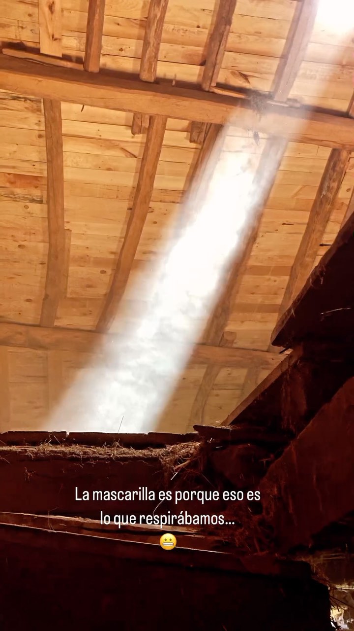 Hoy zafarrancho en el pajar. 🧹🪜🔨Hemos destapado la escalera que había en el interior para ver cómo estaba hecha y valorar qué hacer con ella, si cambiarla entera o restaurarla. Así son nuestros domingos de “descanso” 😅😅
.
.
.
#restaurar #restauracion #restaurandocasavieja #reconstruir #reconstruccion #obra #casavieja #casadepueblo #tallerdearte #dentrodellapicero