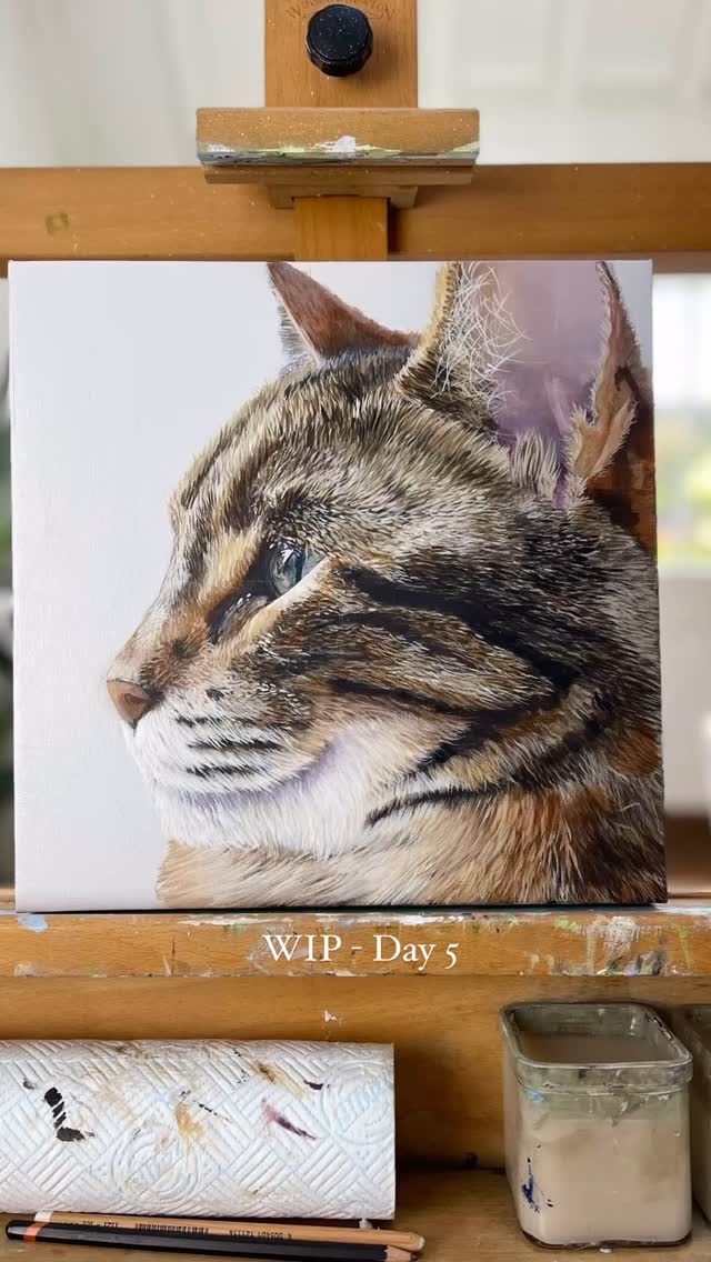 Day 5 and nearly there! 😅
#catpaintingsofinstagram #wiltshireartist #acrylicpainting #studiodays #cotswoldartist #catportrait #catpaintingsofinstagram
