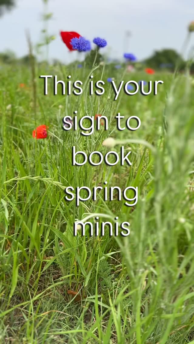 Spring has sprung and the flowers are blooming! Two days only Spring minis are available to book now! These are great for:
🌸 Seniors
🌸 Couples
🌸 Kids
🌸 Families
🌸 Fur babies
These make *AMAZING* gifts as well! Whether it be for a graduation, birthday, anniversary, or bringing your a game for Mother’s Day - it will be a memorable and cherished gift to offer!
Want to book? Comment below for a link to be sent to your DM. (You can also find the link in my bio).
Want someone to gift you these? Send this to them!!
#texasminis #dfwphotographer #dallasphotography #richardsontxphotographer #queerphotographer #dallasseniorphotographer #dfwbride #dallasproposal #dallaspride