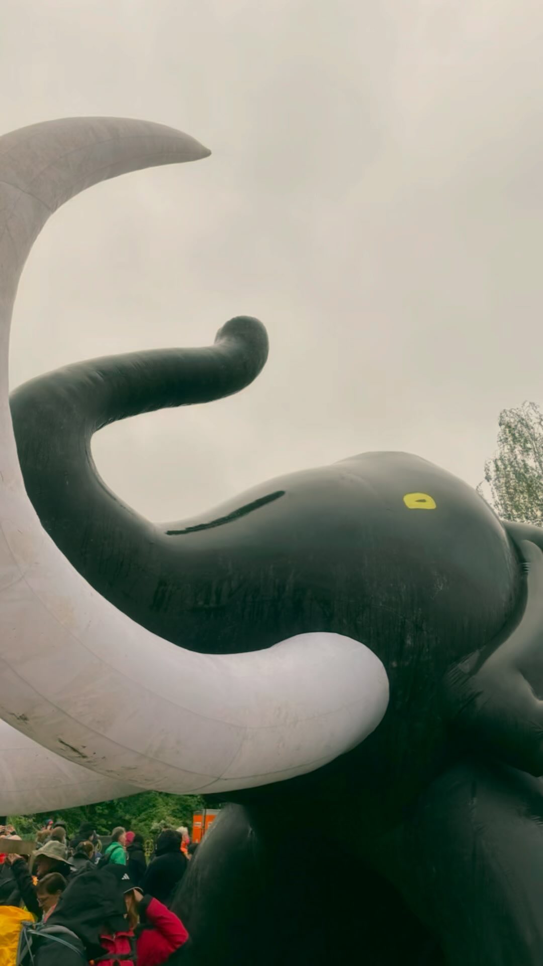 Mammutrevoloution 2024 #extremwandern#mammutmarsch#wandernmachtglücklich