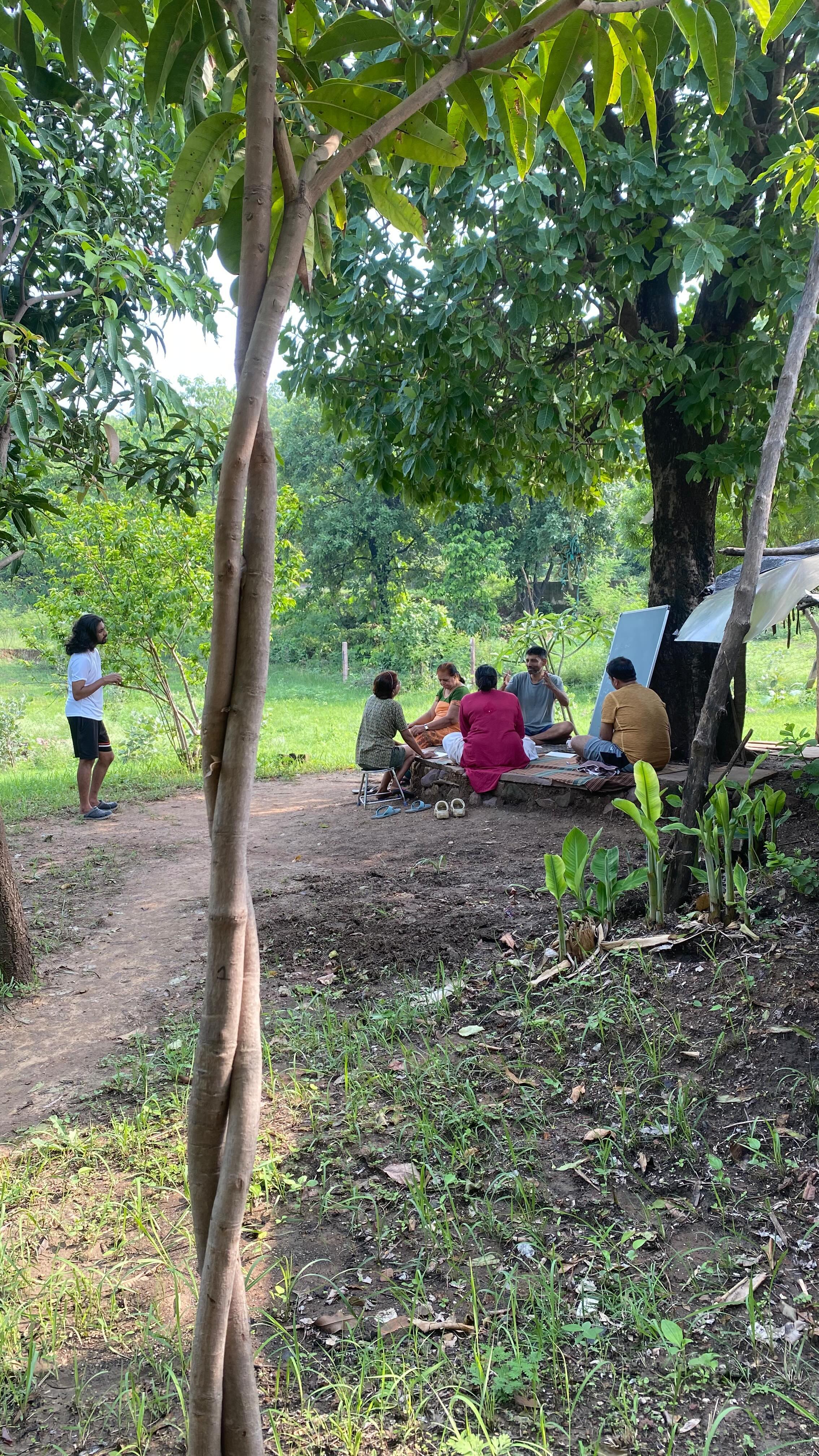 Day - 5 ✨
Under the Mahua tree 🍃
.
.
.
#nature #health #wellbeing #wellness #foresttherapy #biohappiness #moodforest #forestfasting