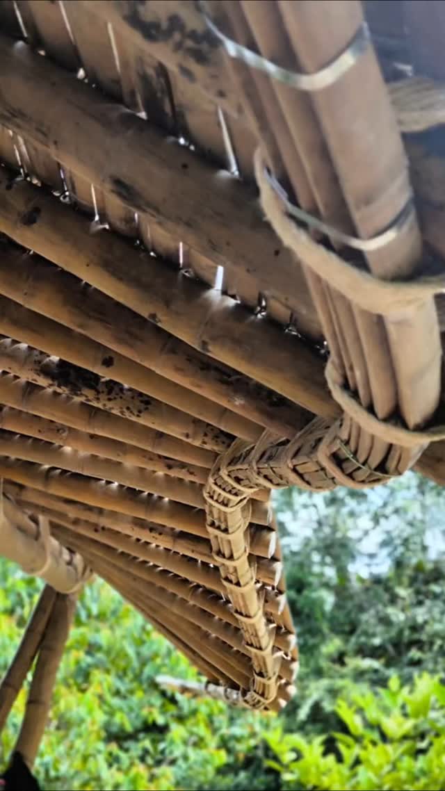 We love to experiment with different ways of making organically formed bamboo buildings. Each construction is an exploration into the harmony of forms, roofing techniques for organic surfaces and structural techniques that support a sculptural design intention.
.
We had been curious about how to roof an organic surface with traditional clay tiles because...
1. there were lots of tiles left over after the renovation of a heritage rammed earth house,
aaaaand
2. the majority of buildings finished with clay tiles are flat pitched surfaces.
.
So the experiment became:
* an exploration into organic surfaces and clay tiles
* a test of the strength of bamboo, as the resulting roof is rather heavy
* an investigation into how simple a structure can be while creating a dynamic, organic form.
.
And of course it's been a fun building process, with the participation of many creative energies!
@jhonfredyzapatarueda @cesar.londono.5439 Esteban, Guillermo, @lipsma @nicolas_abrill @tatianasierrap @lagabisalome and the indigenous Cofán community.
.
#bambooroof #bambooarchitecture #ecobuilding #claytiles #organicdesign #organicarchitecture #naturalforms #constructionprocess
