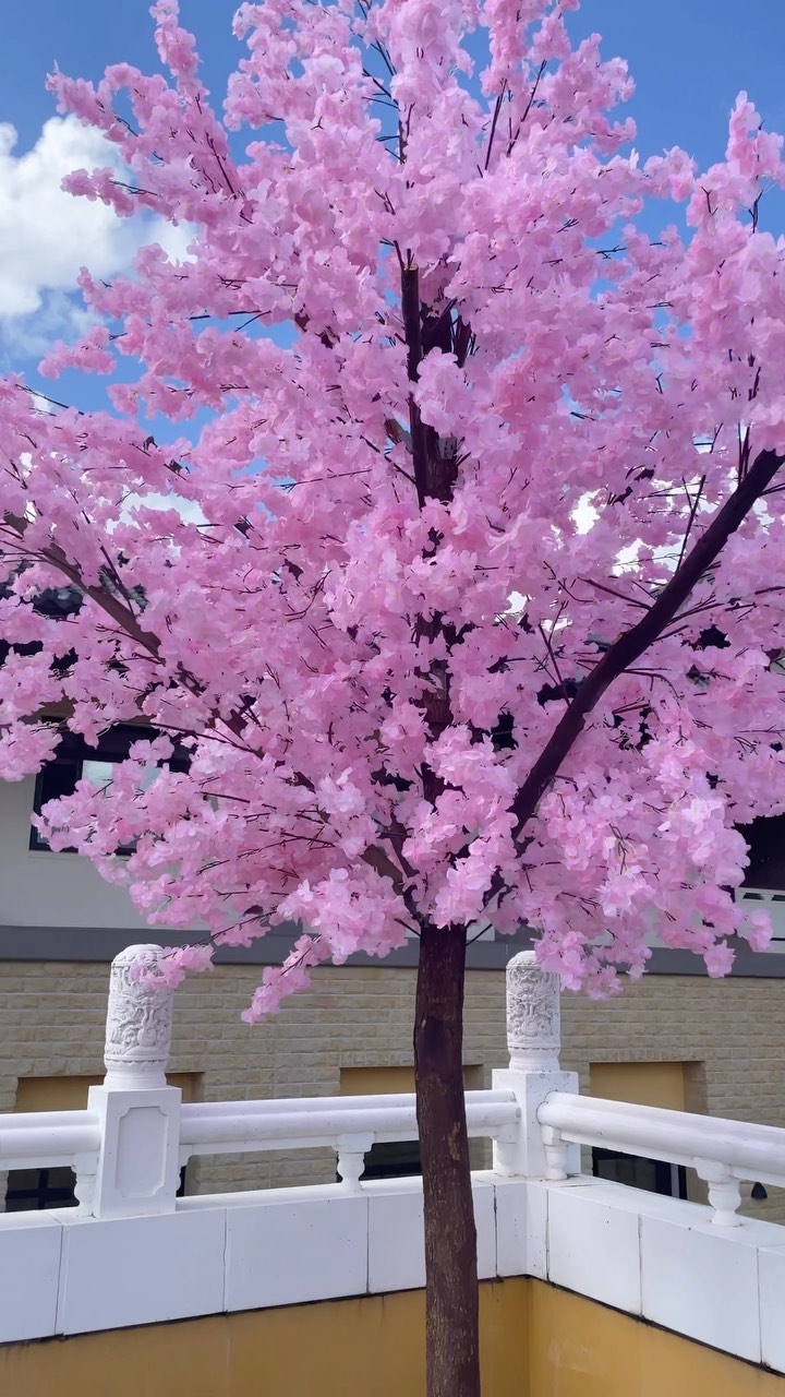7 seconds Offering Parade this morning 🙏🏻
See you at 1:30pm for the Multicultural Performances 🕺