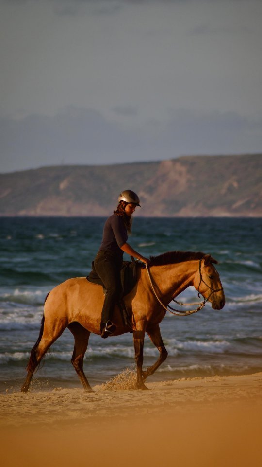 Nala found her forever home in the black forest - I will get to see her and also her foal grow up whenever I'm back in Germany 💚.
She left Portugal already some weeks ago but I guess I haven't had the emotional capacity to post or even process that she's gone.
I didn't plan on selling her as she was pregnant and I had already accepted that she was stuck with me and I was even looking forward to having a foal for the first time in my life.
But everything turned around when I had to break the hearts of a whole family by telling them that I sold P to someone else. They were already expecting that I might give her to someone else and had started looking at Nala's videos and when I told them that P was not going to come live with them they started inquiring about Nala.
I didn't sell P to him because they were not the perfect match but I knew immediately that Nala would have the perfect forever home with them and that she would also be the right horse for them.
I'm deeply touched by the trust that they put into me after seeing me with P and how I handled her sale, so that they bought Nala without ever seeing her before.
I organized ultrasounds to make sure it's still safe for her to travel and her new owner organized a private transport for her. Then he came to spend a few days getting to know her (and I mean all day with a raincoat during the biggest rainstorm) so that she'd already feel home when she'd arrive to Germany.
I am incredibly grateful for this perfect dreamhome for Nala and the foal and can't wait to see them when I'll be back for working in Germany.