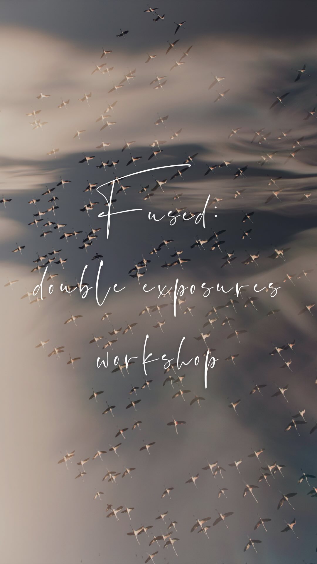 Hello Fused: double exposures workshop 🙌🏻
The last time I ran my “Fused” online workshop was February! So I thought it’s about time to add some new dates in 🤩
This workshop is for you if:
💥 you have been meaning to learn how to do doubles for ages
💥 you’ve tried doubles but just aren’t “getting” it
💥 you are in need of a creative boost
💥 you really need to “see” things differently
💥 you’ve got the Fused guide but haven’t done anything with it yet
OR
💥 you just want to hang out with me and talk arty things for 2 hours 😆
Send me a message if you would love more information! Classes will be on Zoom on Sept 14 + 28th. I would love you to join me!
Natalie x
