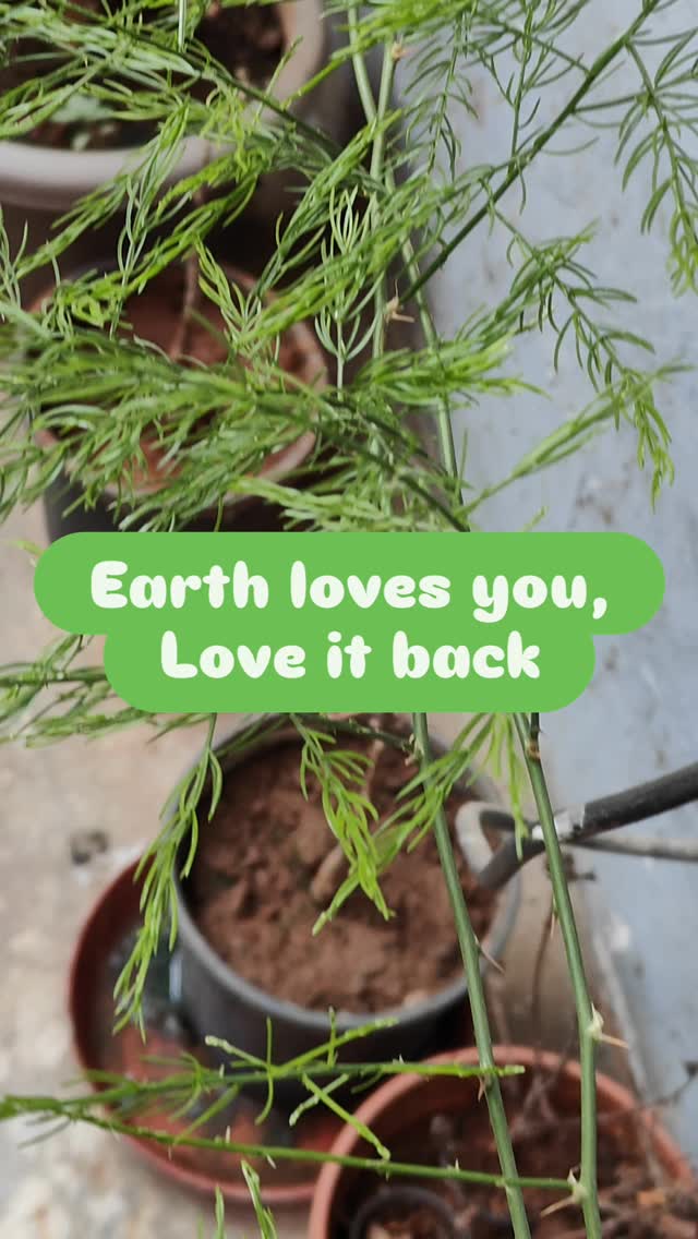 Earth loves you, love it back.
#earth #gardening #growbag #ecofriendly