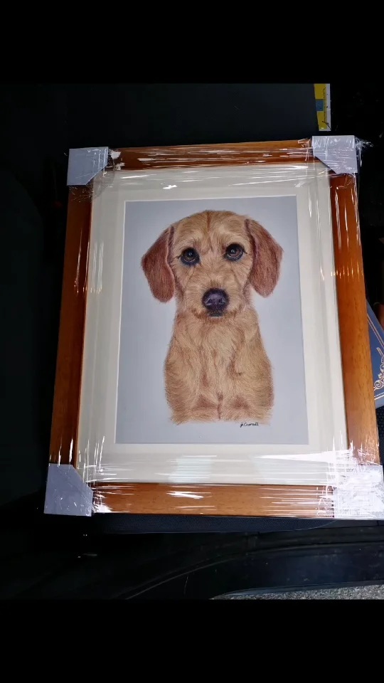 #doglovers #art #labradoodlesofinstagram #colourpencilart #coloredpencilmagazine