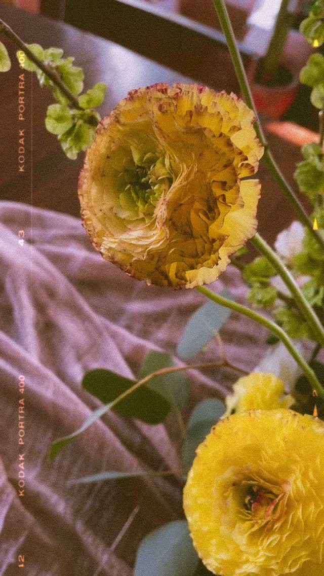 Spring mornings with this quirky little creation.