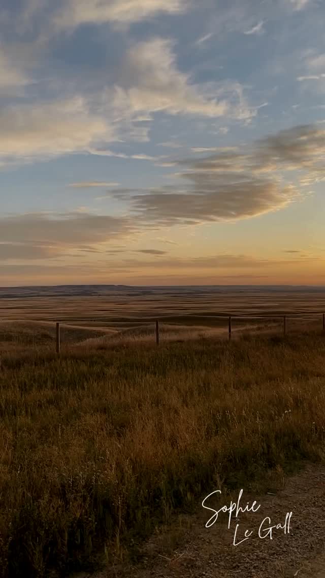 L’intuition murmure, le mental hurle.. La sagesse et la guidance du monde invisible se manifeste par le biais de l’intuition. Bien trop souvent on écoute le mental qui est basé sur nos expériences passées et qui veut à tout prix nous protéger et nous empêcher d’aller vers la nouveauté. Du coup on stagne, on tourne en rond, on se sent vide et pas totalement heureux.
Il faut faire le silence, écouter la petite voix dedans et suivre ce que nous dit notre cœur.
#intuition #ame #mediumnité