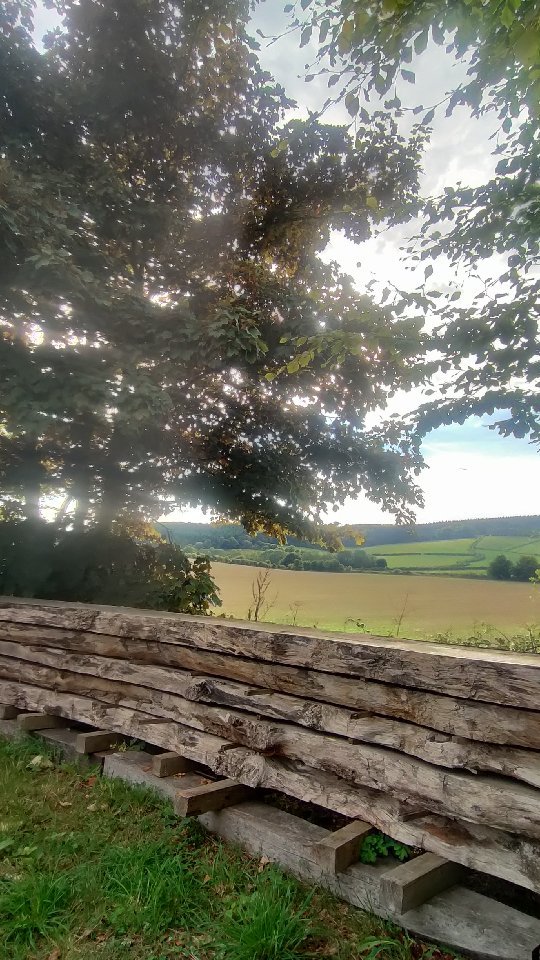 Another trip to squeeze some wood into my Mini, working on some old and new designs. Can never resist going to West Wittering after for walkies. Always a good day 🪵🔆🐶🌅
.
.
#timberyard #woodshopping #woodworker #woodworking #naturelovers #naturegram #forestlovers #wood #walkies #sunset #sussexlife #westwittering #midhurst #sussex #furnituredesign #furnituremaker #woodfurniture #designerfurniture #beachwalks #sunset #hills