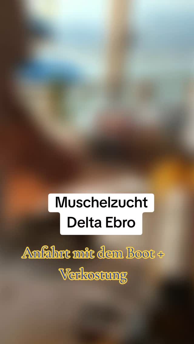 Bock auf was Besonderes? Coole Tour zur Muschelzucht- mit Bootsfahrt, spannenden Einblicken direkt vom Züchter und leckerer Verkostung vor Ort. Perfekt für 'nen chilligen Tag mit Freunden oder der Family! Folgt mir , wenn ihr auf coole Ausflüge steht- und bucht easy über mich!
#costadorada #mittelmeer #cambrils #ferienhaus #miamiplatja #spanien #meerliebe #urlaub #erleben #spain🇪🇸 #spaintravel #spanienreise #spanienentdecken #besonders #erlebnis #erlebnisurlaub #GenussMomente #genusserleben #genießen #muscheln #foodiespain #foodievibes #foodporn #experience #experiences #ausflug