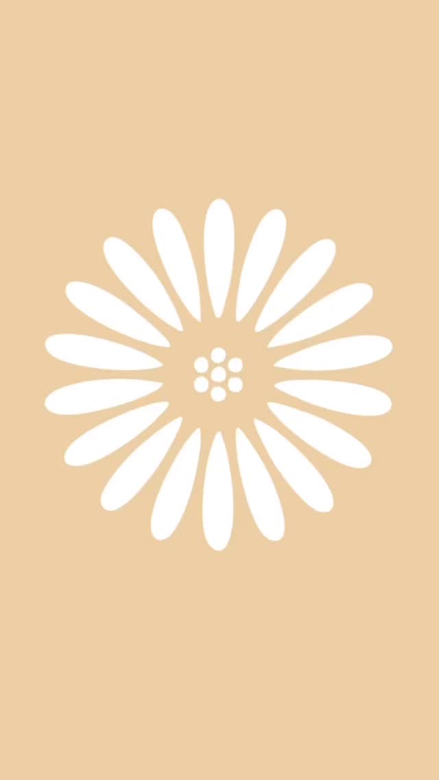 One month in, and we’re just getting started. ✨
Not for everyone. Just the unforgettable.
Based in Saint Simons—creating for the world.
Website launching soon.
#TheSeraphCollective #LuxuryBranding #BoutiqueDesign #saintsimonsisland