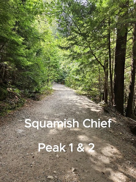 Epic views from each of the peaks of the Chief in Squamish.
#bchikes #squamishbc #nature #naturalliving #hiking #hikingadventures #vancouverhikes #epicviews #mountainpeaks