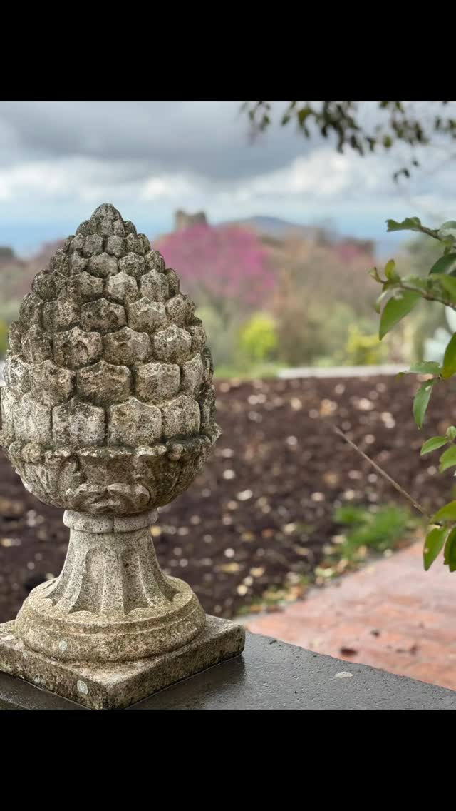 Looking for a holiday destination? We still have some open days. Check our availability at www.santangelovilla.com
#italy_vacations #italycountryside #italytravel #villasantangelo #villawithpool