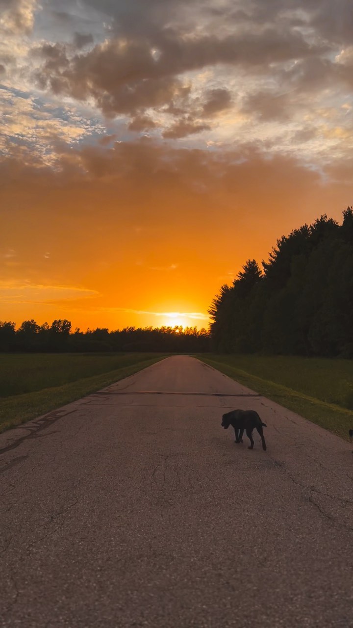 Monday vibes🌅✌️Make it a great day! 💛
•
•
•
#idgaf #sunset #labsofinsta #mondaymood😎