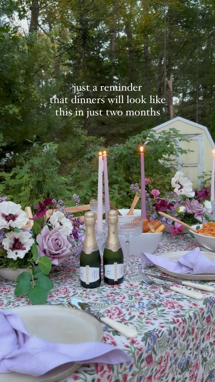 Slowly defrosting and waiting for spring 🌸
#pinterestaesthetic #pinterestgirl #dinnerparty #picnic #luxurypicnic #dinnerpartyideas #galentines