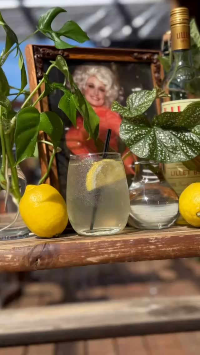 The crows have spoken: the new drinks are raven-ous. Get here before they fly off the menu!🐦⬛
.
.
.
#crowandcart #whiteakerneighborhood #eugenebarscene #cocktailsandmocktails #shrubcocktails #eugeneoregon #cocktailbar #shrubcocktails #strongwaterbeverages #womanownedbusiness #montuckycoldsnacks #paintedladygin #fourrosesbourbon #oldoverholt