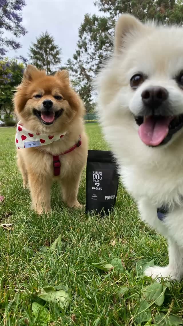 Happy Earth Day ๐
Weโre on a mission to make a differenceโone step, one choice, one treat at a time. Together, we can create a healthier planet for all. Letโs make the earth better, together! ๐