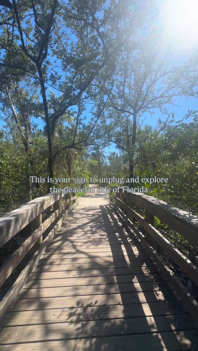 Peaceful parks & sun soaked beaches, this is the place to vacation! ✨
explore Hammock Park in Dunedin, Florida 🌳
•
•
•
•
#florida #floridavacation #floridaparks #exploreflorida #visitflorida