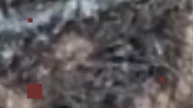 Gridlocdhaircare.com
#naturalhair #sisterlocks #microlocs