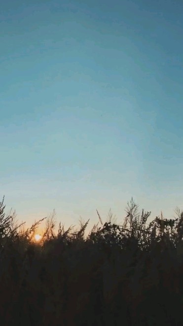 They will always have an opinion. Don't let anyone bring you down!
At Wild Stones Amsterdam we empower women from all over the world with the magic of our gemstones .
Be you, your own unique version, be different, be bold, brave and fearless. Be connected, be young but wise but most of all: stay wild!
#wild #wildchild #nature #earth #female #power #gemsandminerals #gemstone #gemstonelover #girlboss #witchessupportingwitches #witchesofinstagram🔮🌙 #fashion #amsterdam🇳🇱 #jewelry #gemstonering #passion