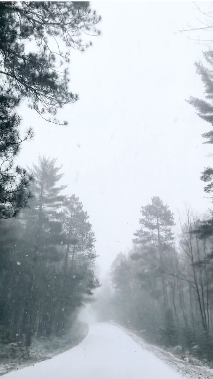 Let’s go for a winter wonderland drive together 🤩❄️🤍
•
#northernwisconsin #winteriscoming #winterwonderland #travelwisconsin #snowglobe #letsgoexplore #adventureseeker #findyournorth