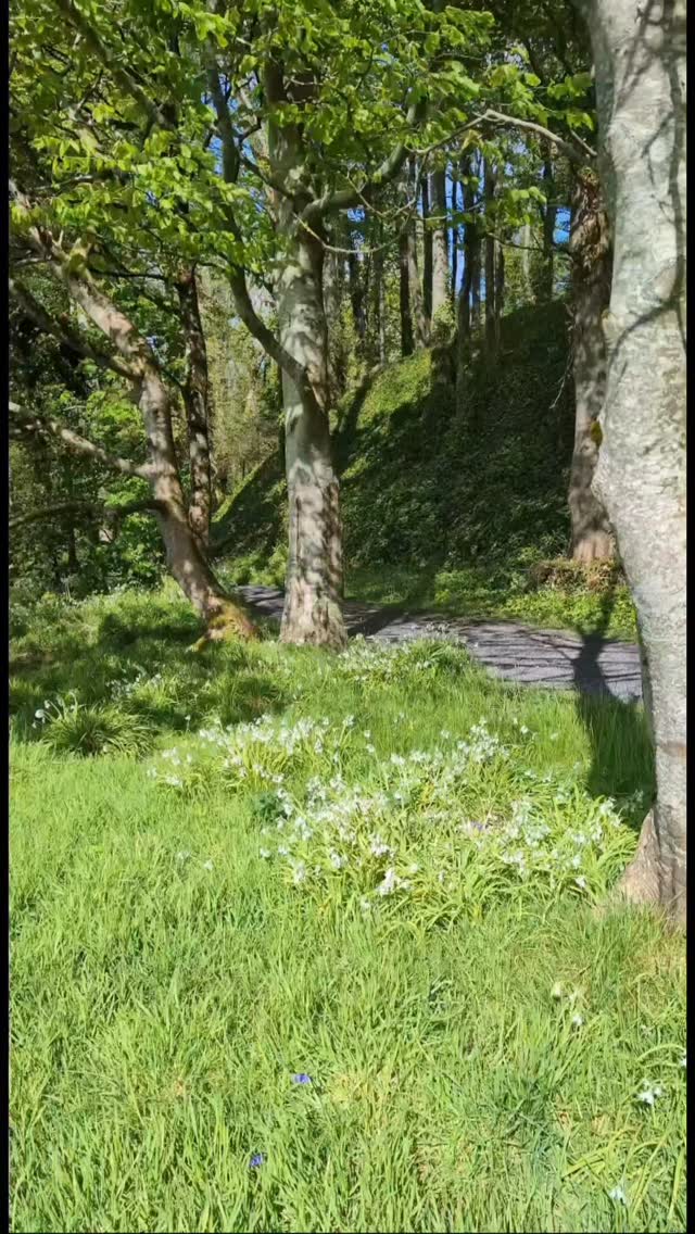 Lissadell this weekend. Spring is in the air.
#sligo #wildatlanticway #lissadell