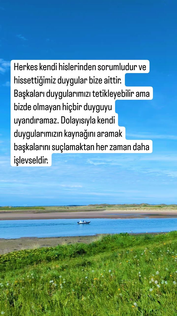 Everyone is responsible for their own feelings, and the feelings we feel are our own. Others can trigger our emotions, but they cannot awaken any emotion that we do not have. Therefore, seeking the source of our own emotions is always more functional than blaming others.
#duygu #sorumluluk #duygufarkındalığı #psikoloji #psikoterapi
#emotion #responsibility #awareofemotions #psychology #pychotherapy