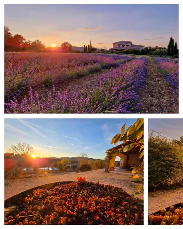 Die Hitze des Tages liegt noch in der Luft, doch über den Hügeln beginnt das grosse Farbenspiel. Die Sonne sinkt langsam hinter dem Col de la Cize, goldene Strahlen brechen durch die Pinien, der Duft von warmem Lavendel steigt in die Abendluft. Die Grillen zirpen, irgendwo raschelt ein Wildtier durchs Unterholz – alles wird weicher, ruhiger, voller Tiefe. Ganz tief innen spürt man: Genau hier möchte man bleiben. Ardèche-Magie pur. 🌄💜