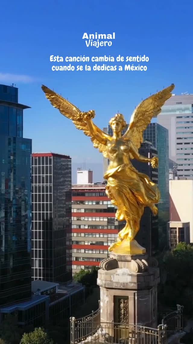 #mexicomagico🇲🇽
Viajar es enamorarte de cada lugar, de cada calle, playa y comida, viajar te reinicia la vida de 0 a 💯
#viajes #quotes #quotedaily #viajeros #mexico #mexicoenunaimagen #animalviajero #agenciadeviajes #travel #viajes #travelblogger