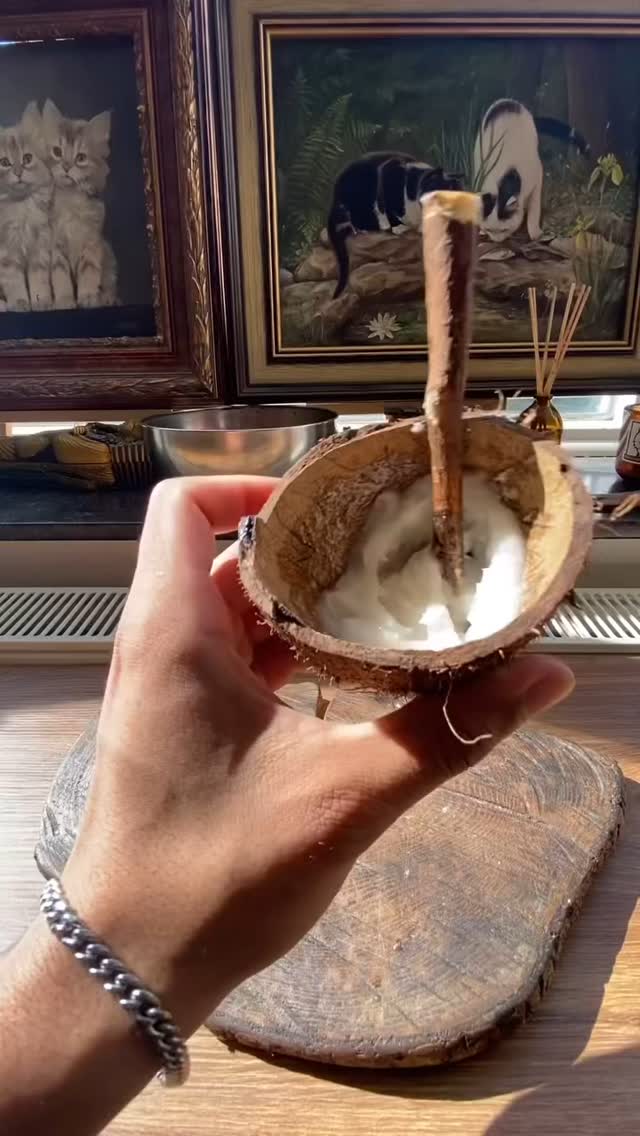 100% plasticvrije tandenborstels, te koop via Barefolk.eu #plasticfreeoceans #plasticfreeliving