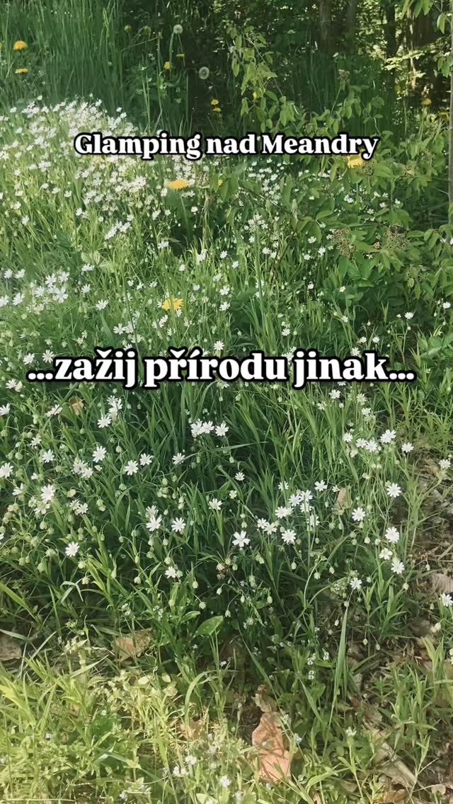 #glamping#teepee#permaculture