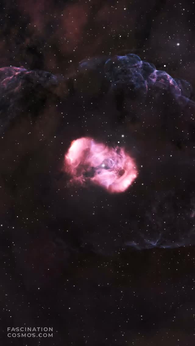 Drachenei (NGC6164, NGC6165)
Das Drachenei, ein ziemlich ungewöhnliches Objekt, ein Nebel aus Gas und Staub (amtliches Kennzeichen: NGC6164, NGC6165). Erwähnenswert ist hier das Beleuchtungsteam: es ist ein Sternpaar - es hört auf HD 148937 - das aber extrem ungewöhnlich alt erscheint. Die Theorie: Da gab´s mal einen dritten Stern, bis zwei von ihnen zusammenstießen und verschmolzen, wodurch ein neuer, größerer und magnetischer Stern entstand. Durch dieses gewaltige Ereignis bildete sich auch der spektakuläre Nebel, der nun die verbleibenden Sterne umgibt (ESO). Faszinierend !
Die Originalaufnahme habe ich mit dem Chile1 von telescope.live mit einem Planwave SDK24 und einer QHY600M gemacht. Um die Nebelstrukturen richtig zu sehen, verwendete ich ausschließlich Schmalbandfilter H-alpha, OIII und SII mit jeweils 300 Sekunden Aufnahmezeit. Mit Astro Pixel Prozessor, Pixinsight, Adobe PhotoShop verarbeitet und das Bild als Video animiert.
Bitte sehr gerne meine Post weiterleiten ! Jedwede andere Art von Kopien oder Nutzung ist nur mit ausdrücklicher Erlaubnis des Copyright Inhabers erlaubt. Bestellung von Kopien und Bildern gerne unter https://photo-portal.shop/profiles/fascinationcosmos.com/#/ oder einfach per Nachricht an mich.
#fascinationsomos #cosmos #faszinationkosmos #kosmos #franzrettenbacher #astrophotography #astrofotografie #astrophoto #astrofoto #deepsky #astronomie #astronomy #astro #teleskop #amateurastrophotography #qhy268 #HEM27EC #iOptron #deepspace #NGC6164 #NGC6165 #Drachenei